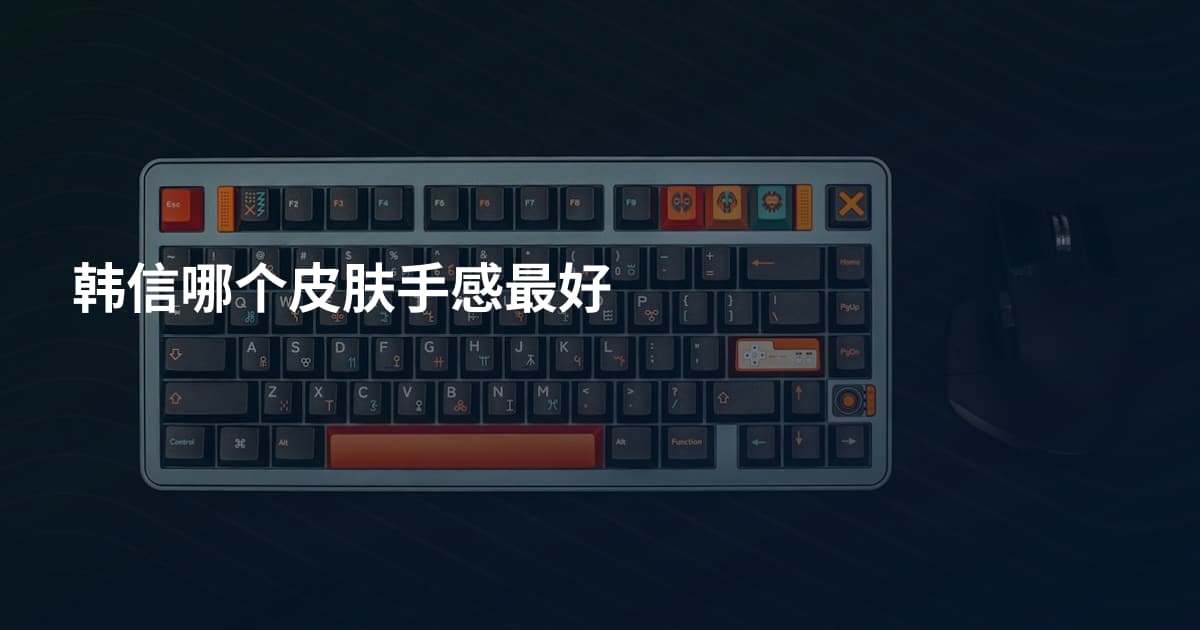 韩信哪个皮肤手感最好