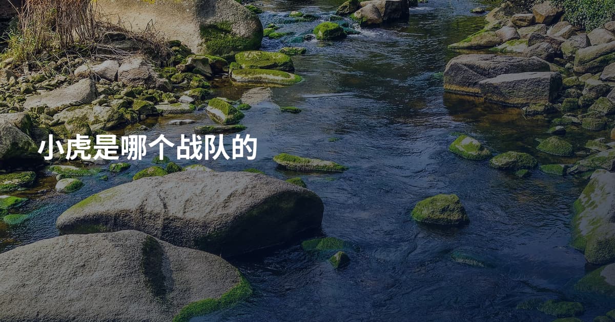 小虎是哪个战队的