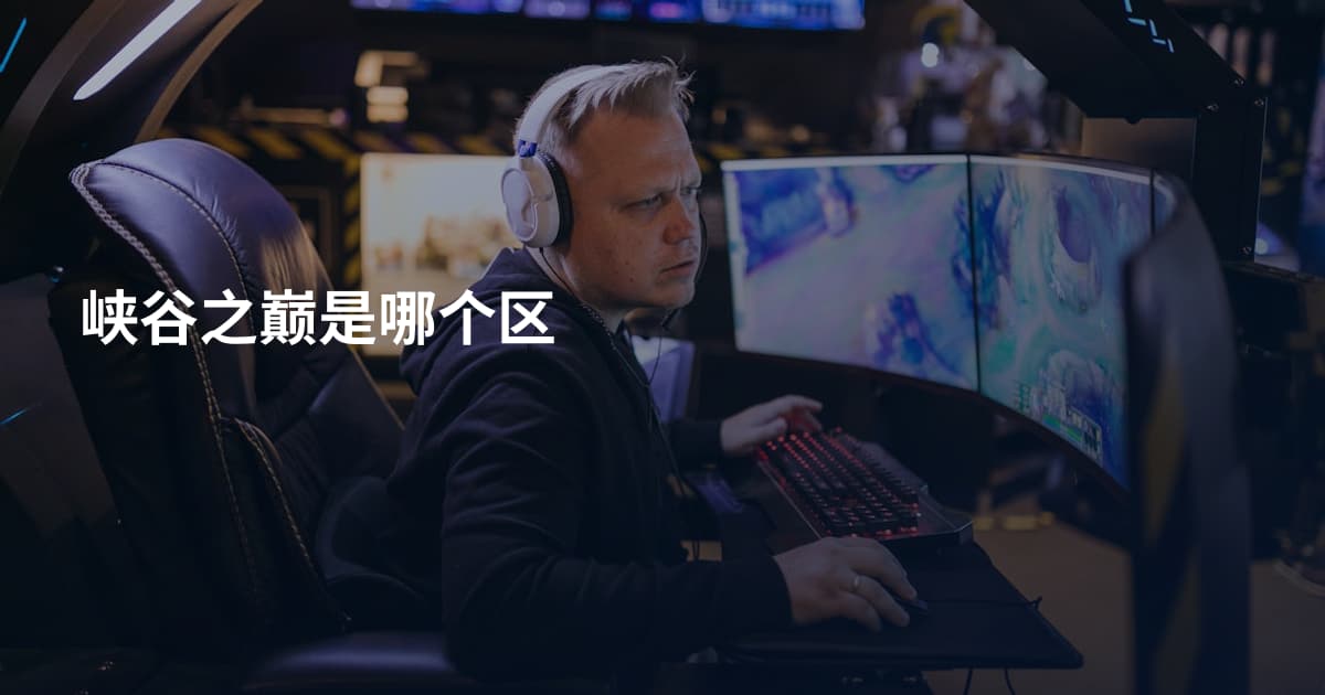 峡谷之巅是哪个区