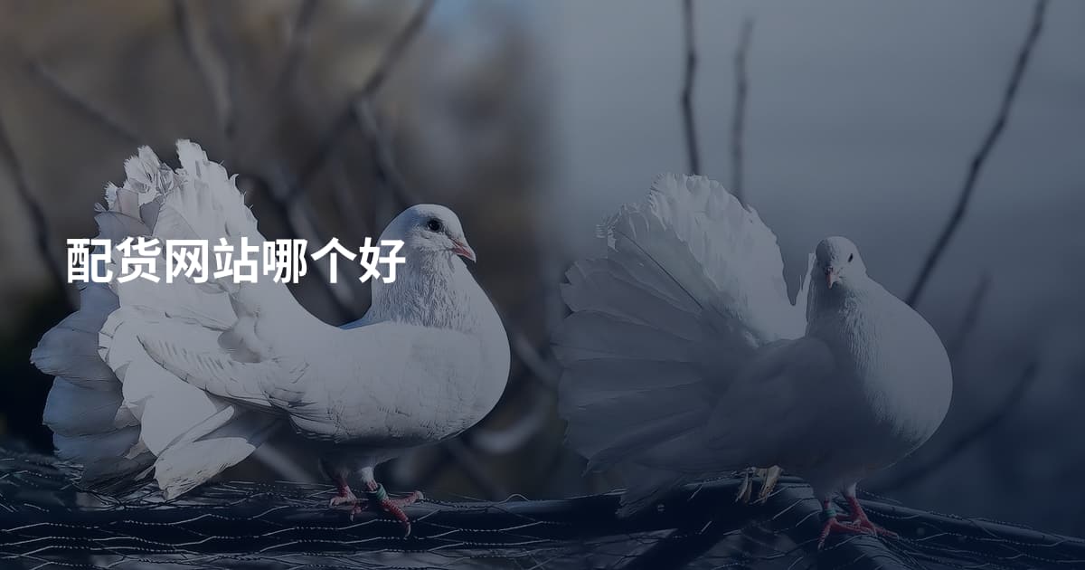 配货网站哪个好