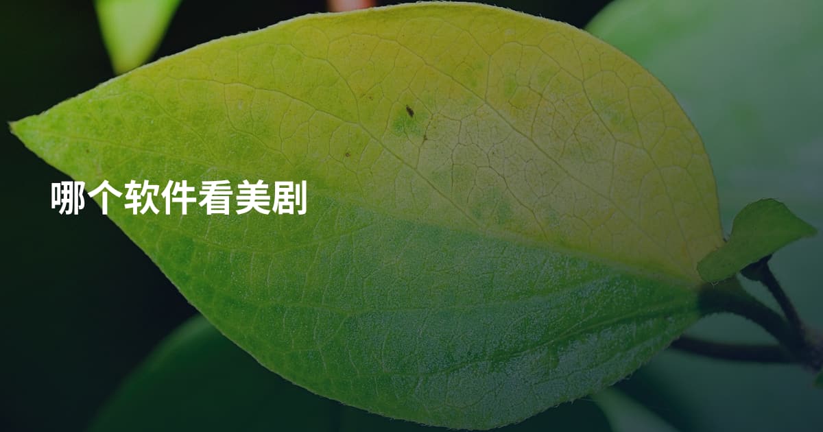 哪个软件看美剧