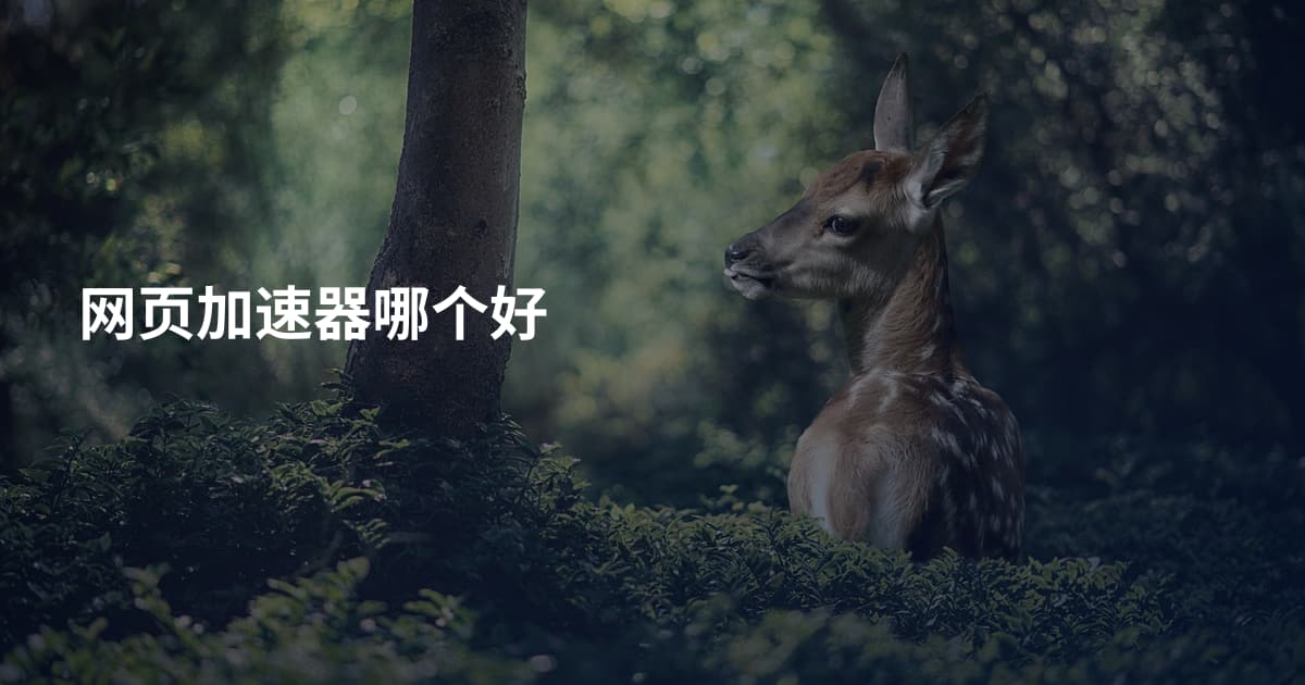 网页加速器哪个好