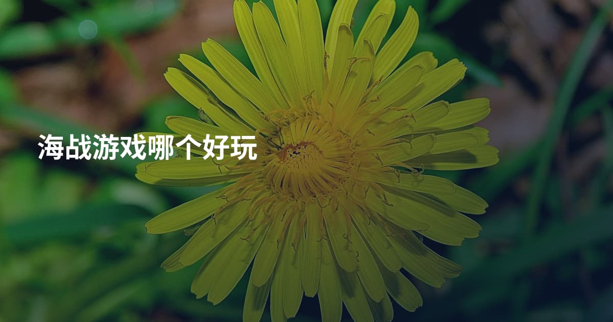 海战游戏哪个好玩
