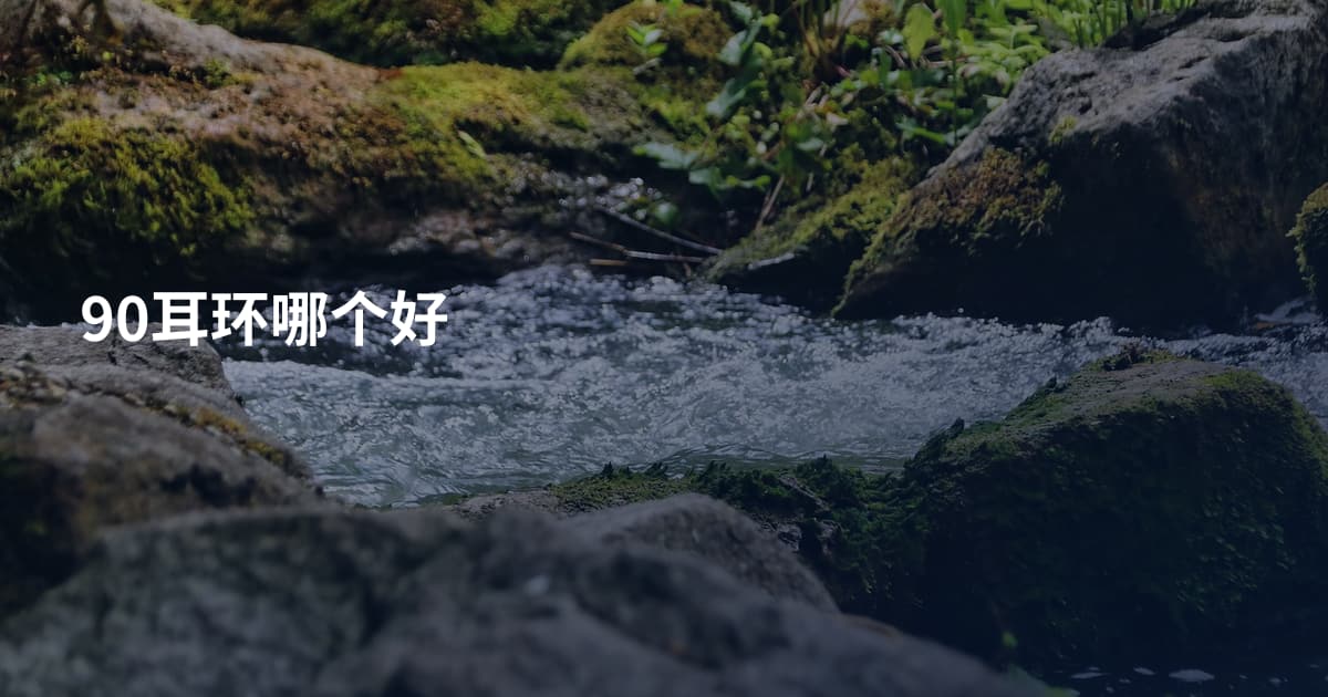 90耳环哪个好
