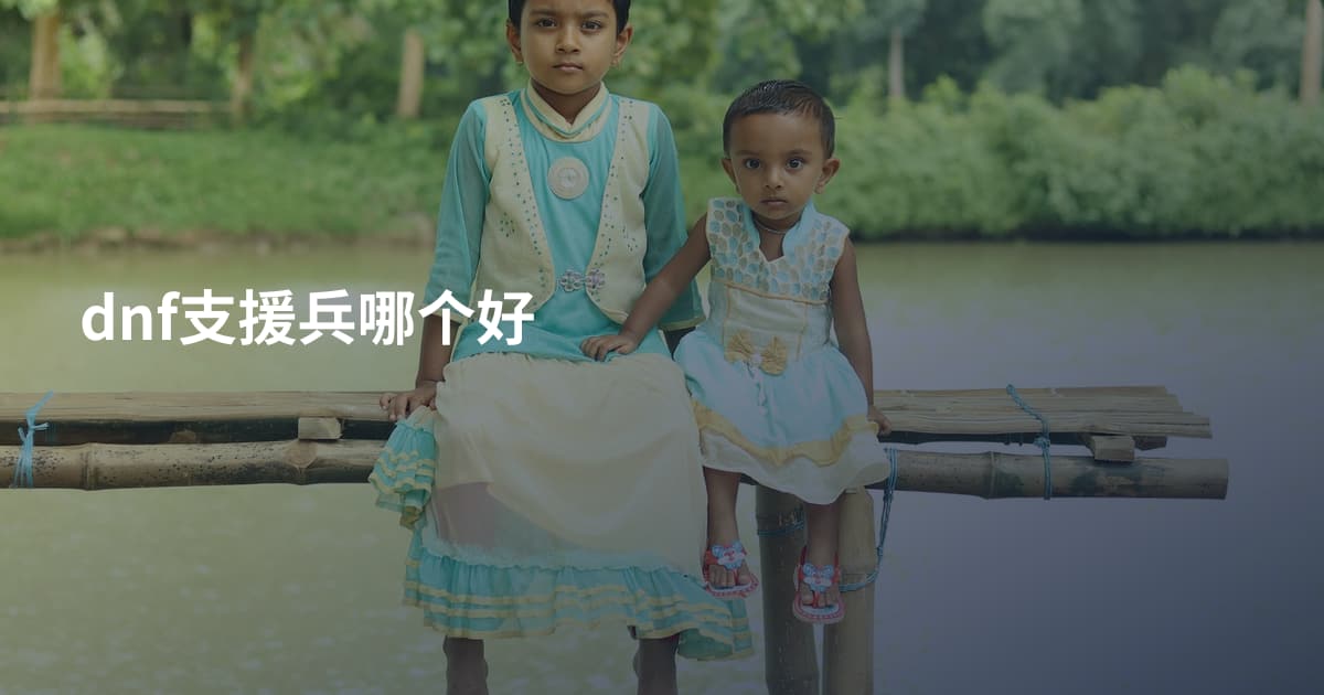 dnf支援兵哪个好