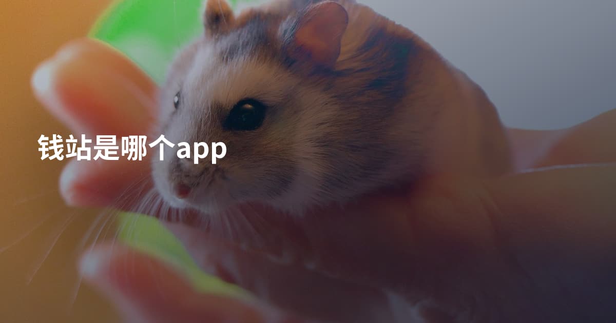 钱站是哪个app