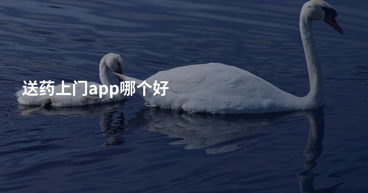 送药上门app哪个好