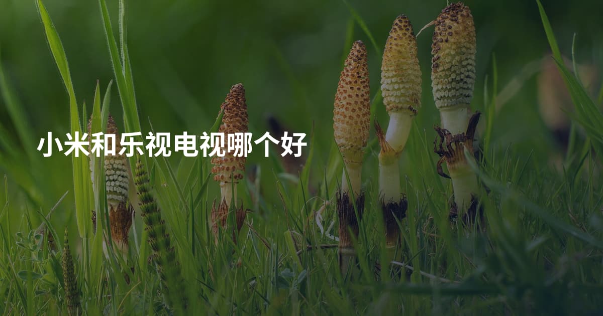 小米和乐视电视哪个好