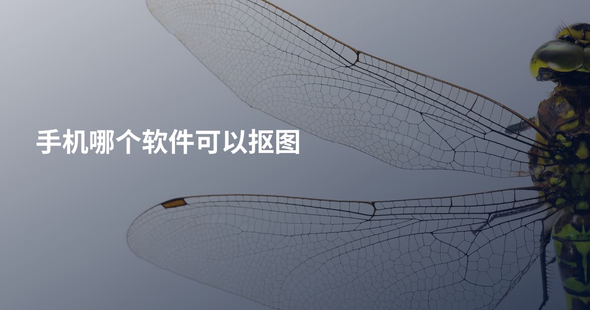 手机哪个软件可以抠图