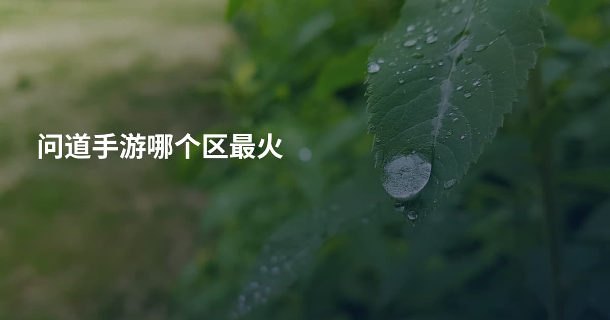 问道手游哪个区最火