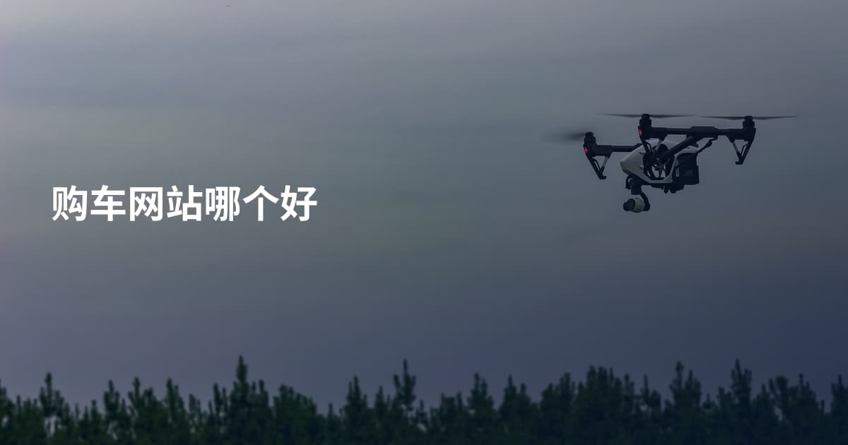 购车网站哪个好