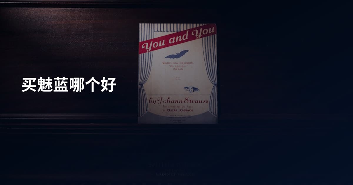 买魅蓝哪个好