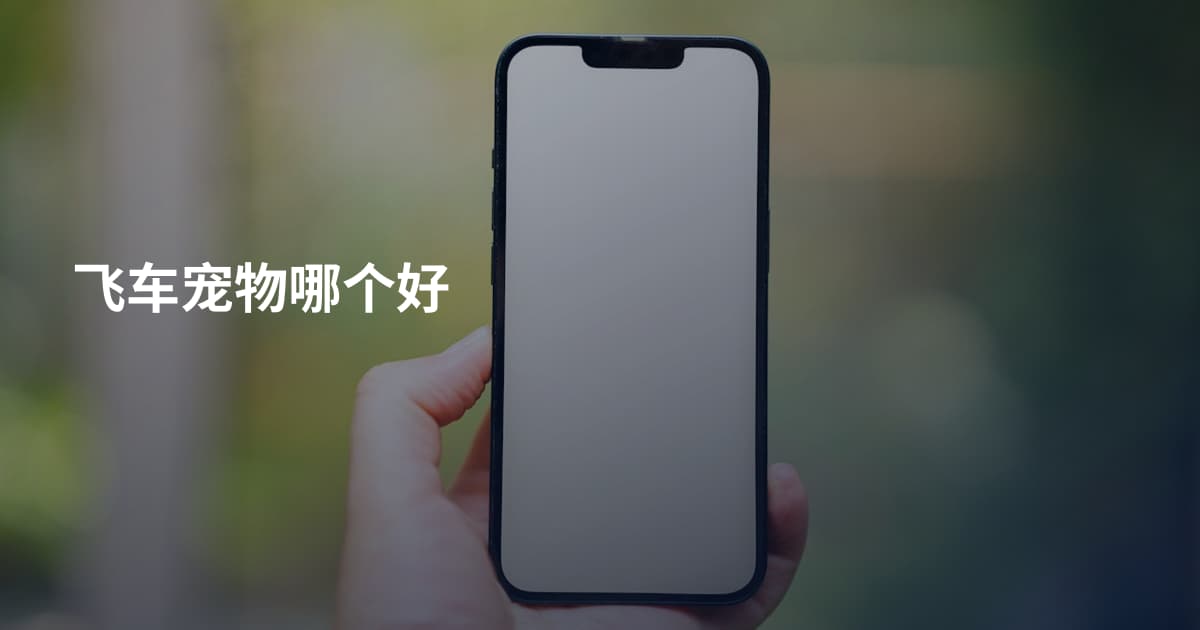 飞车宠物哪个好