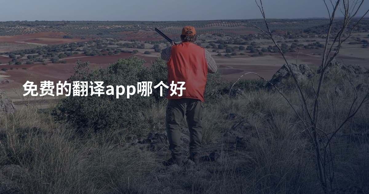 免费的翻译app哪个好