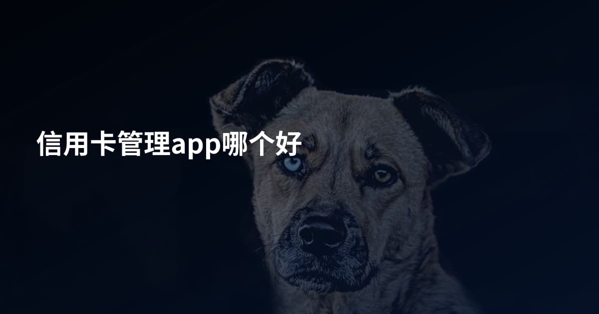 信用卡管理app哪个好
