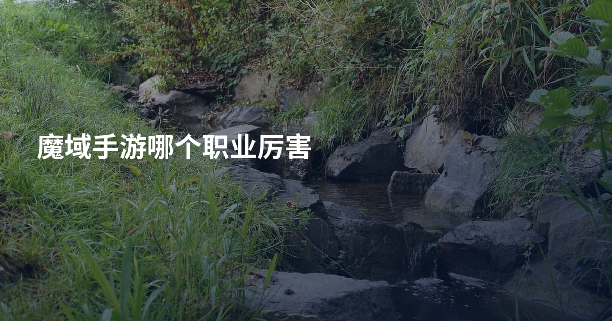 魔域手游哪个职业厉害