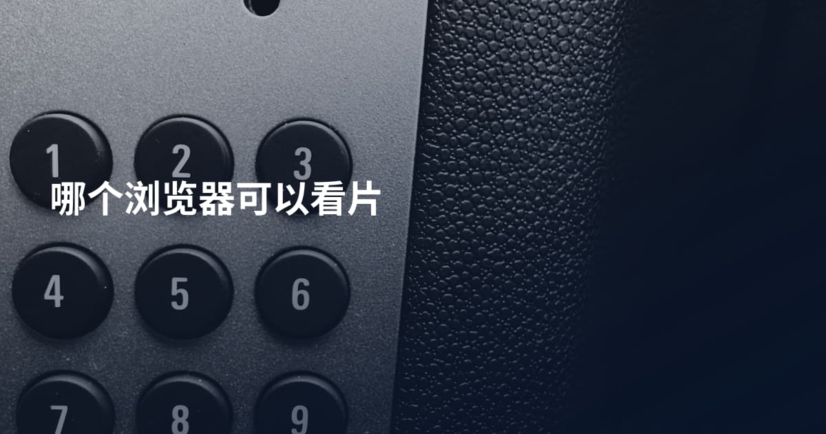 哪个浏览器可以看片