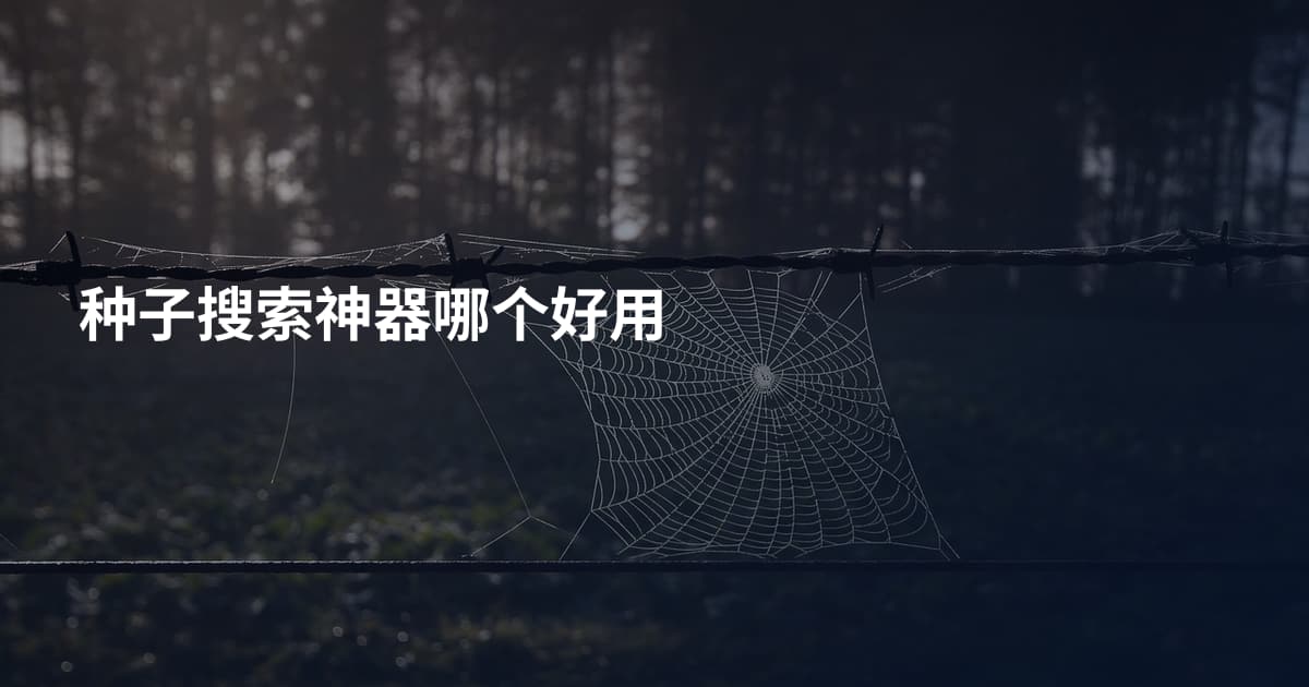 种子搜索神器哪个好用