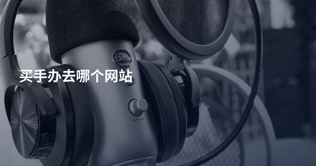 买手办去哪个网站