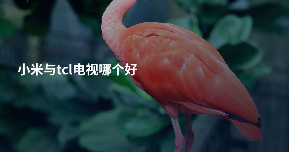 小米与tcl电视哪个好