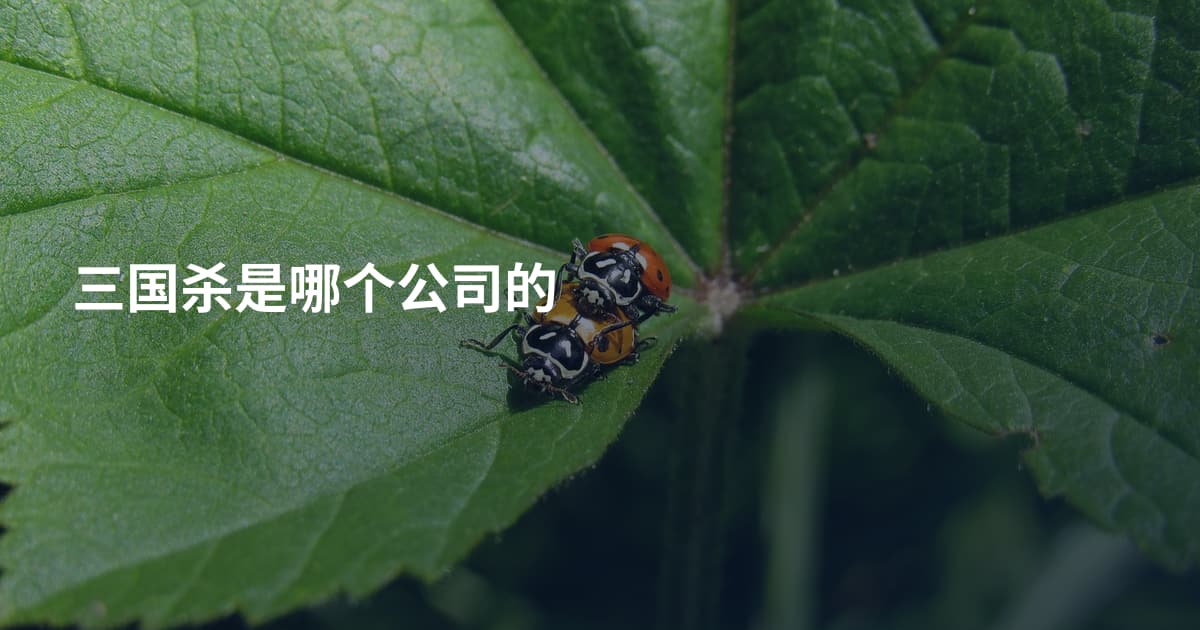 三国杀是哪个公司的