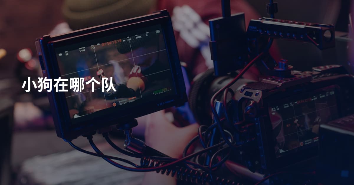 小狗在哪个队