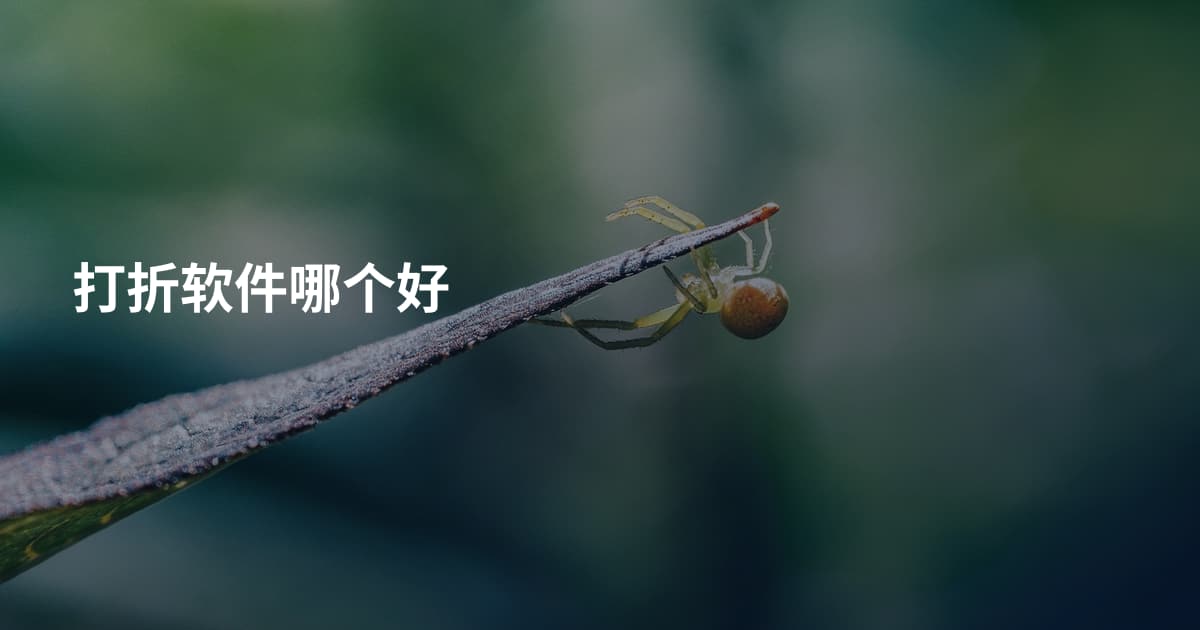 打折软件哪个好