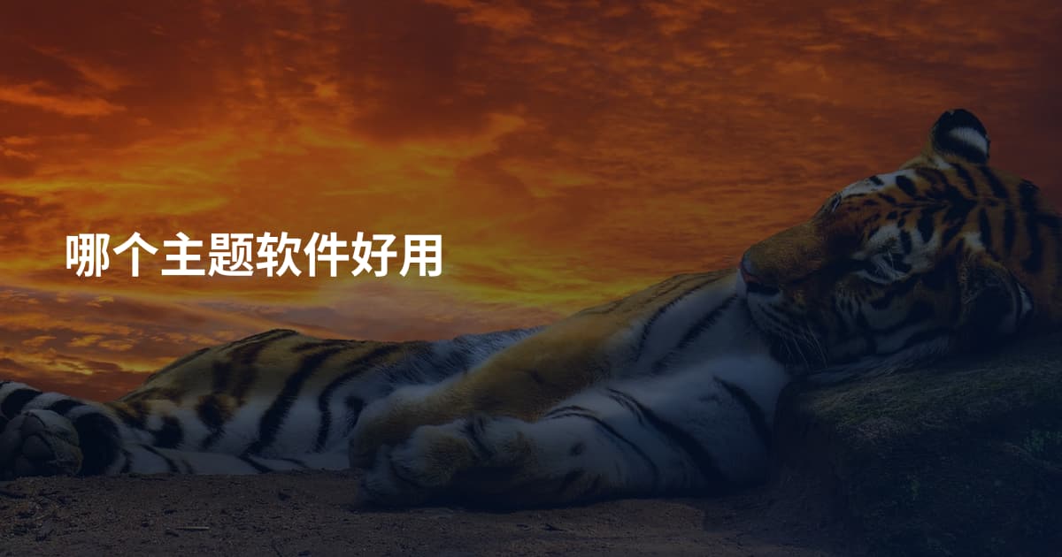 哪个主题软件好用