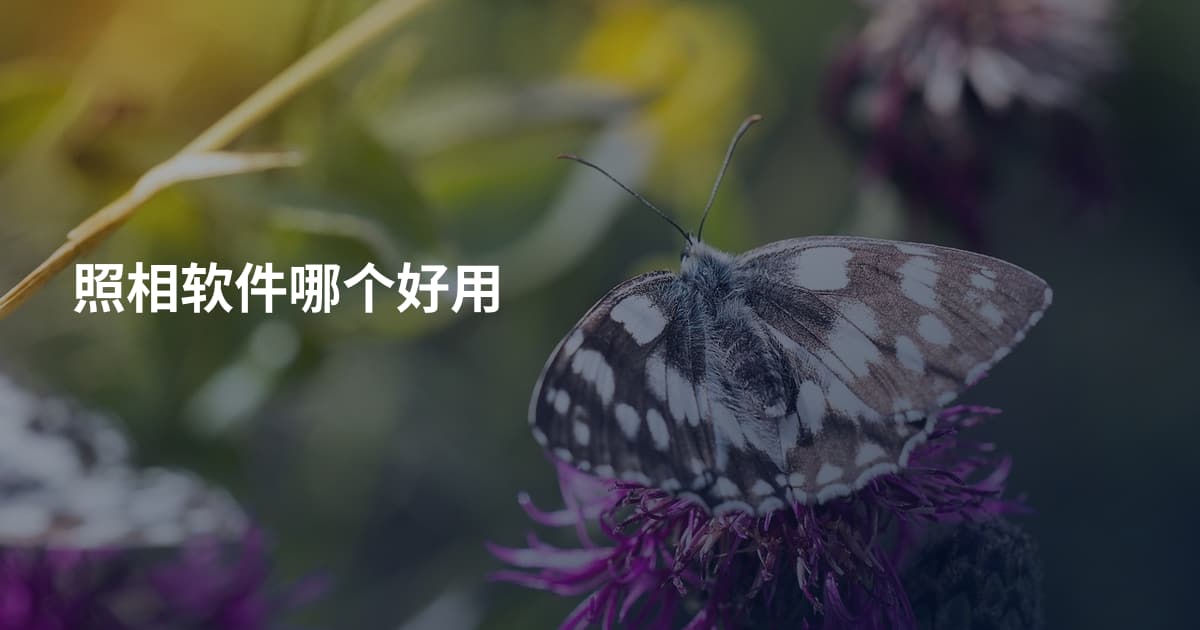 照相软件哪个好用