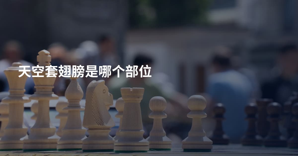 天空套翅膀是哪个部位