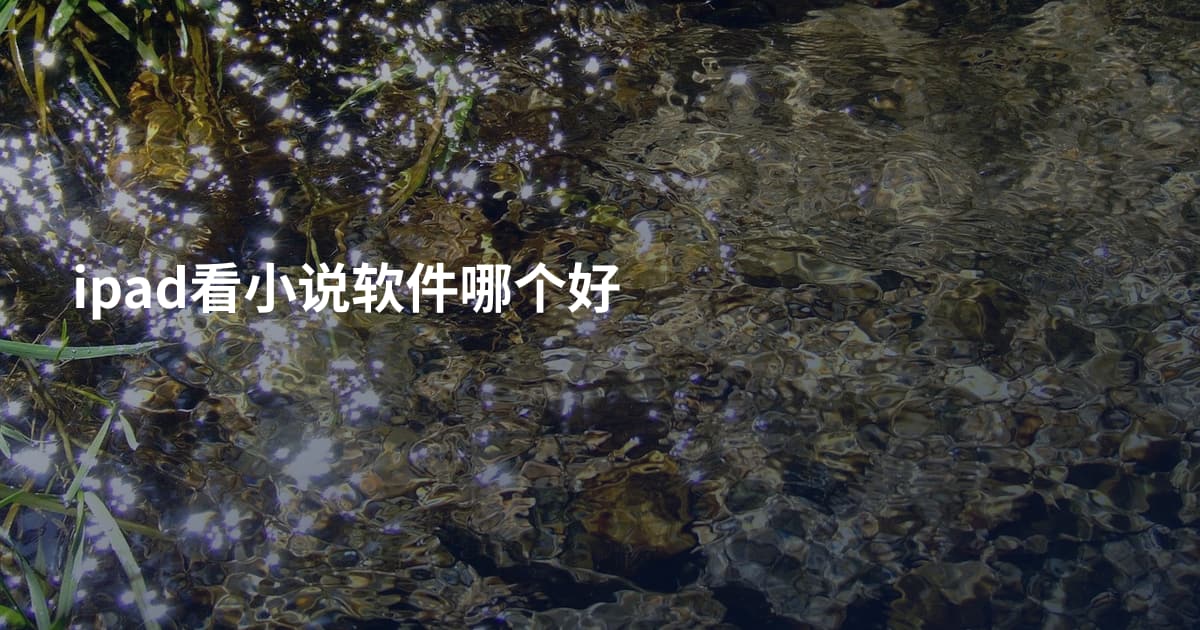 ipad看小说软件哪个好