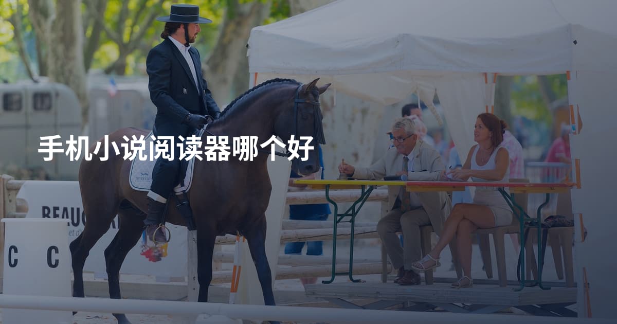 手机小说阅读器哪个好