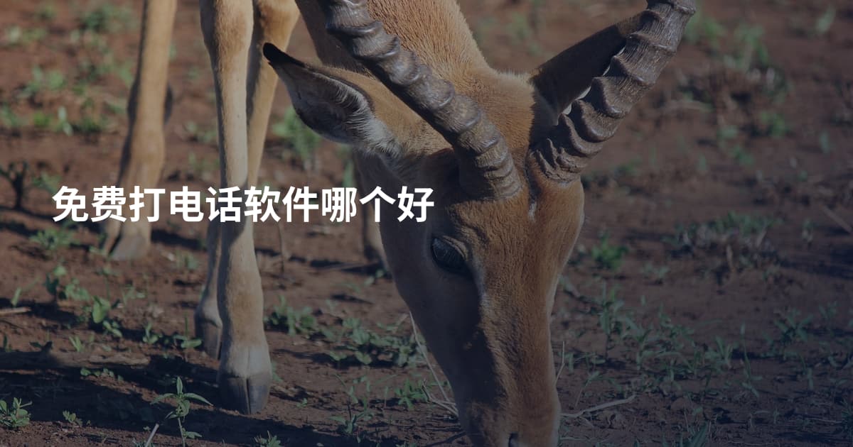 免费打电话软件哪个好