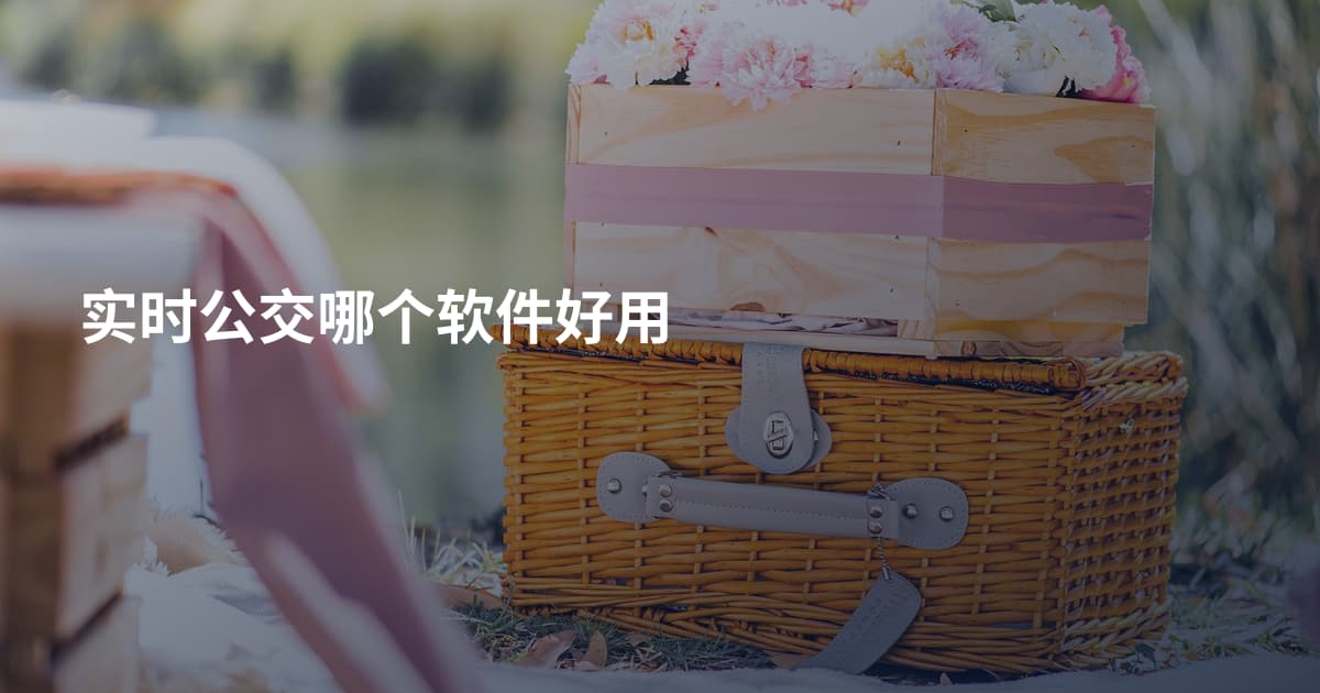实时公交哪个软件好用