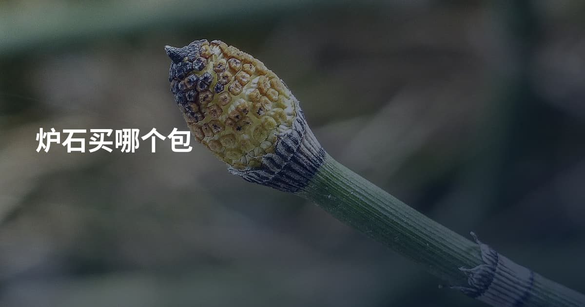 炉石买哪个包