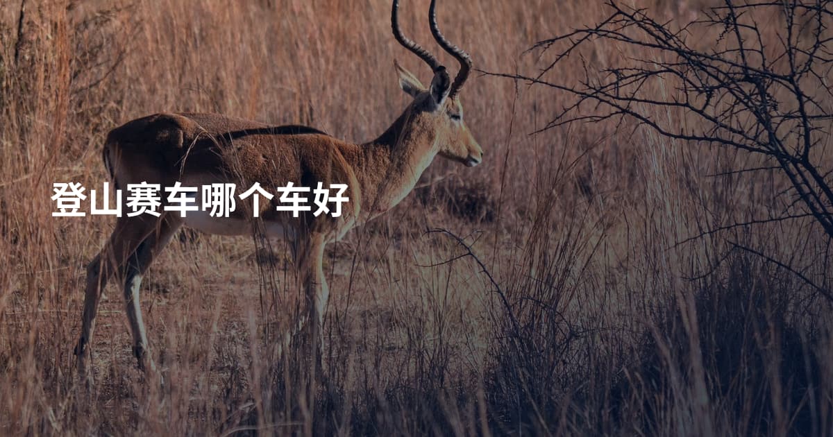 登山赛车哪个车好
