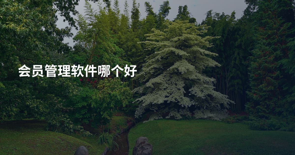 会员管理软件哪个好