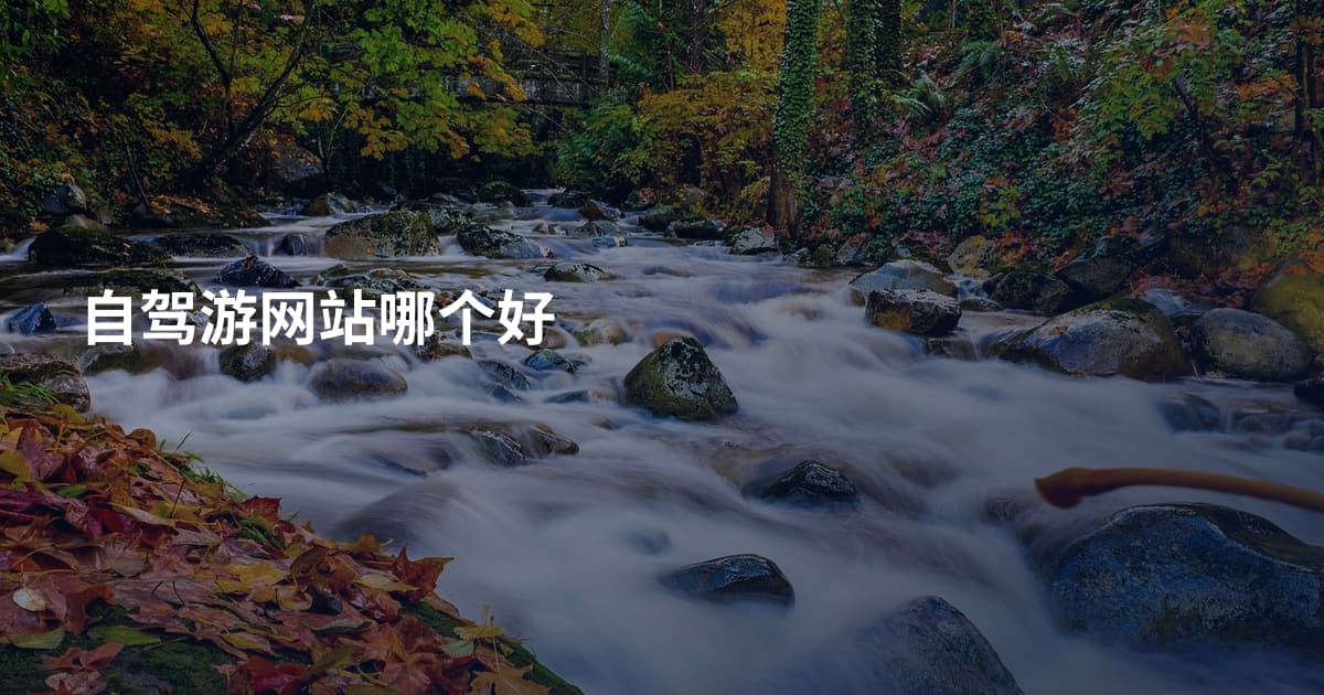 自驾游网站哪个好