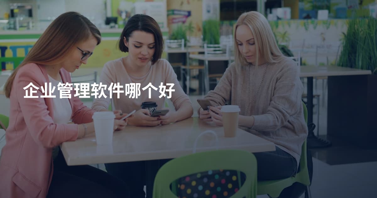 企业管理软件哪个好