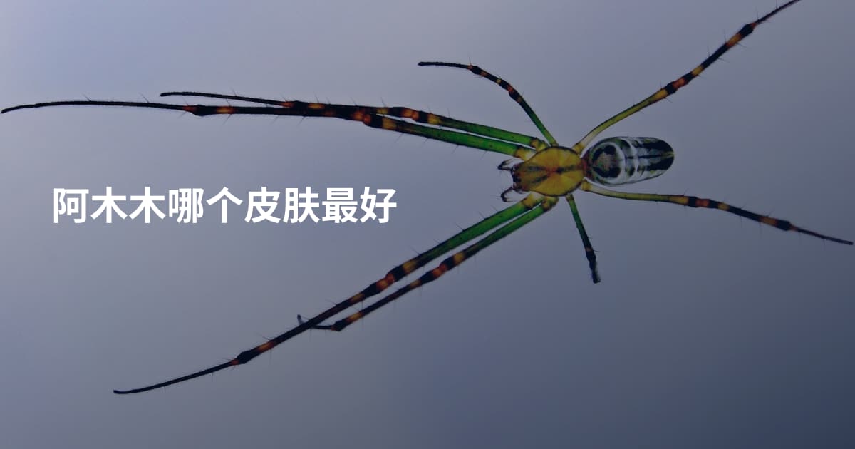 阿木木哪个皮肤最好