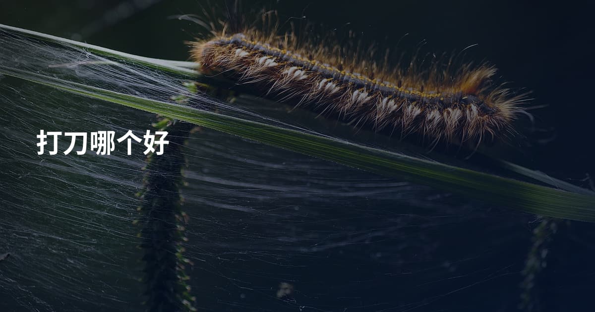 打刀哪个好