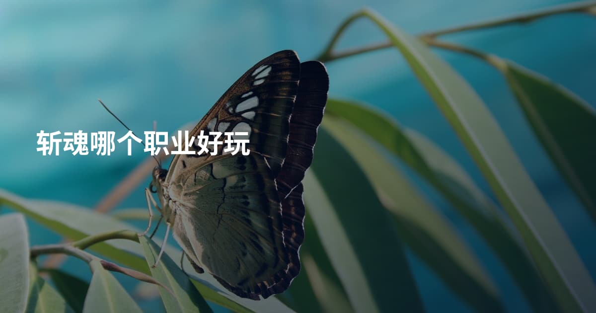 斩魂哪个职业好玩