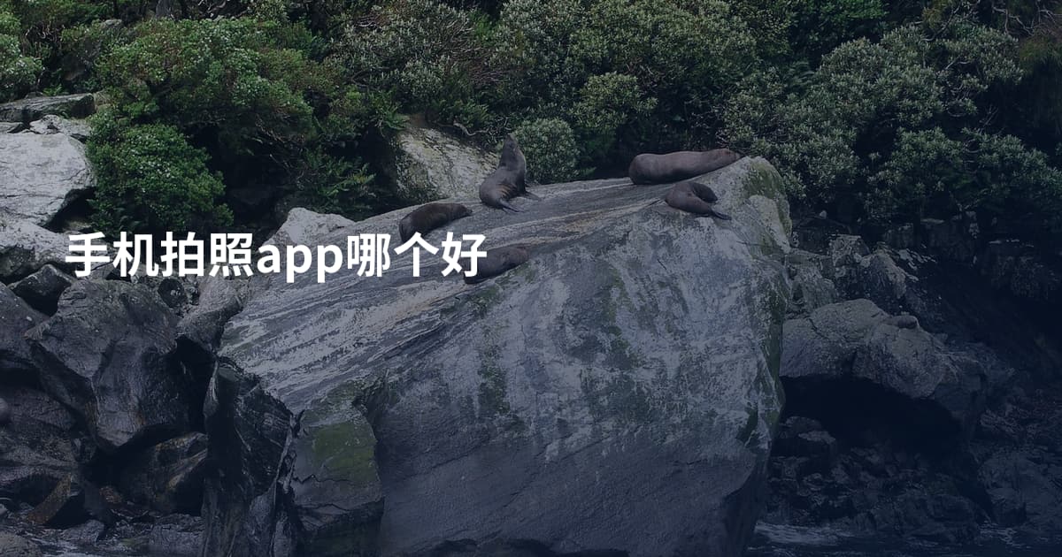 手机拍照app哪个好