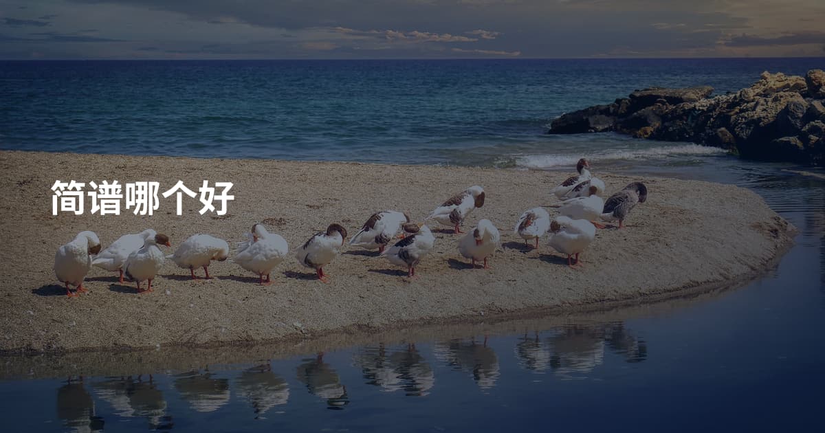 简谱哪个好