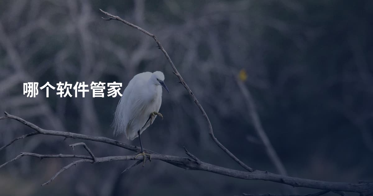 哪个软件管家