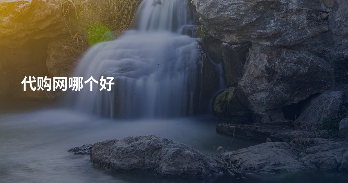 代购网哪个好