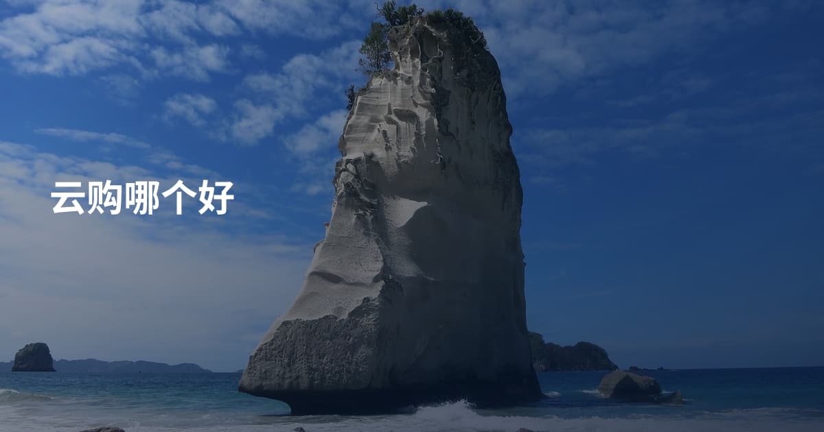 云购哪个好