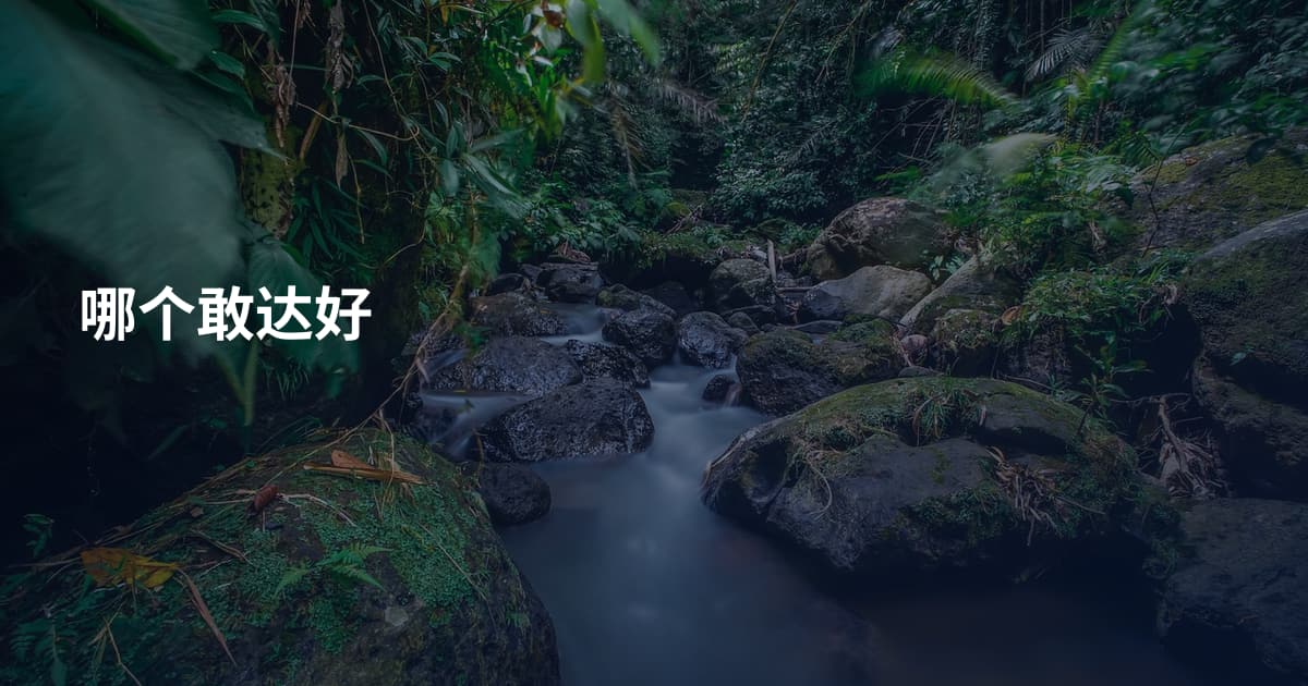 哪个敢达好