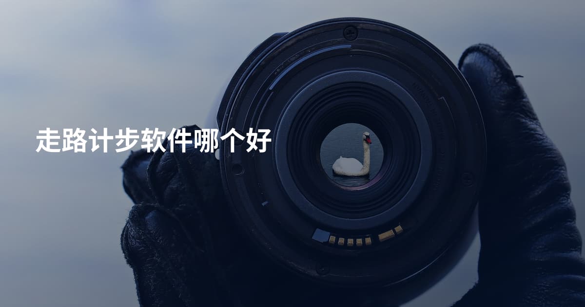 走路计步软件哪个好