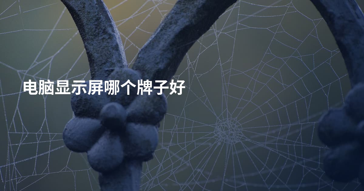 电脑显示屏哪个牌子好